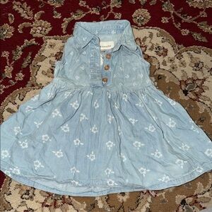 Toughskins Denim Blue Floral Dress